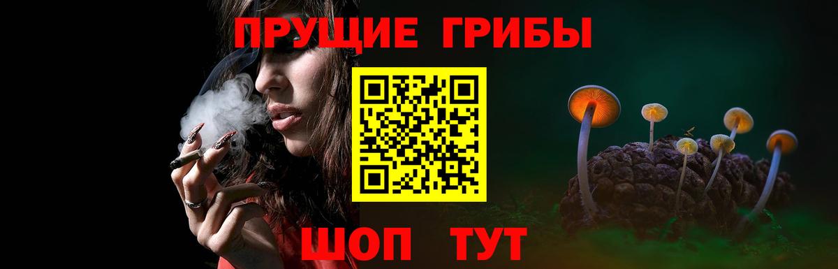 Псилоцибиновые грибы Cubensis Королёв